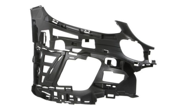 Holder, bumper