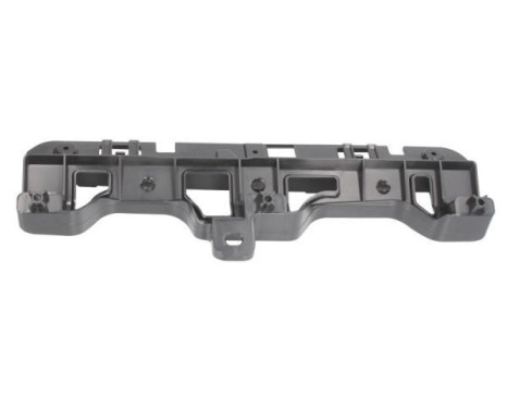 Holder, bumper