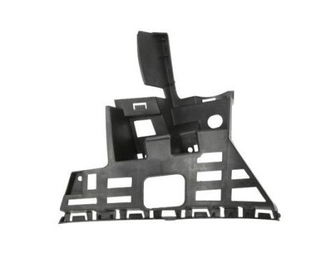 Holder, bumper
