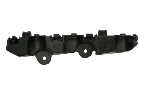 Holder, bumper