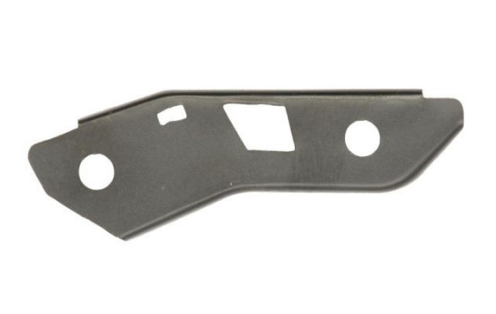 Holder, bumper