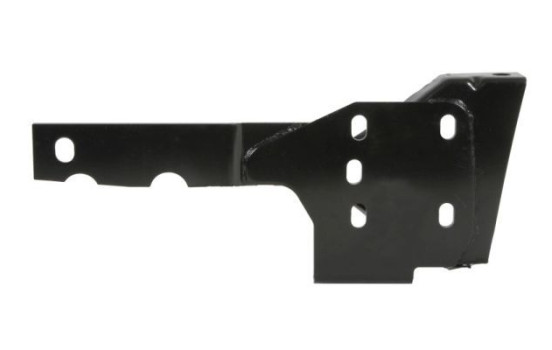 Holder, bumper