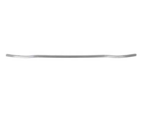 Holder, bumper