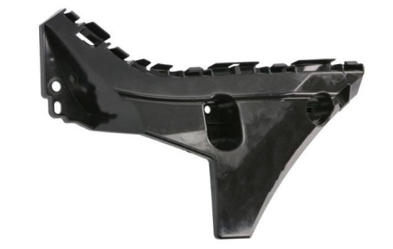 Holder, bumper