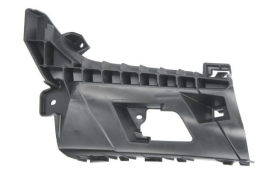 Holder, bumper