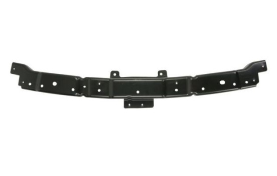 Holder, bumper