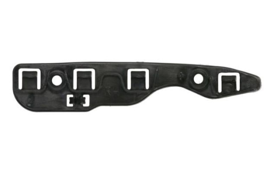 Holder, bumper