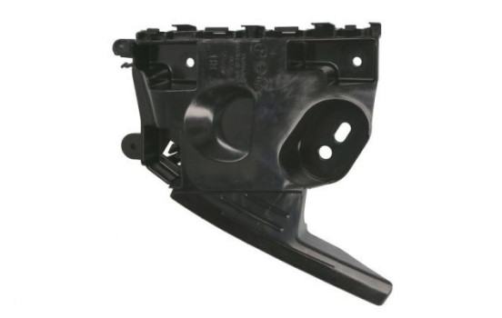 Holder, bumper