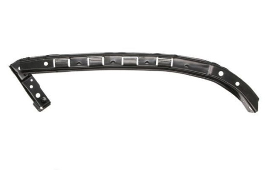 Holder, bumper