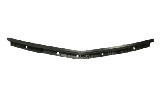 Holder, bumper