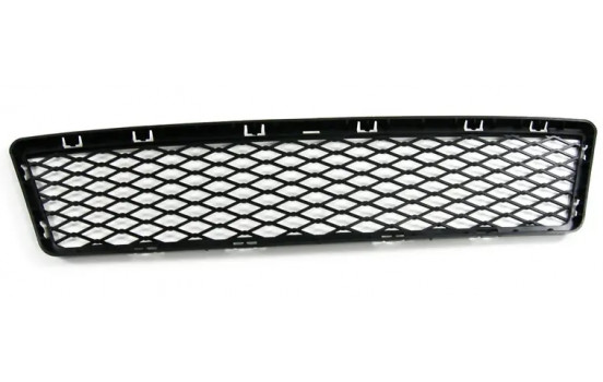 BUMPER GRILL UNDERNEATH