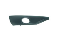 Cover, fog lamp