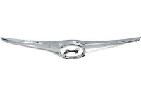 Decoration / Protection panel, radiator grille