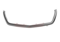 Frame, radiator grille