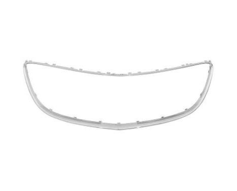 Frame, radiator grille