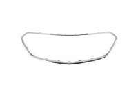 Frame, radiator grille