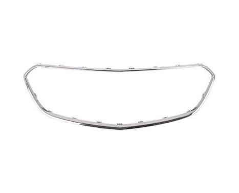 Frame, radiator grille