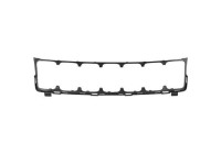 Frame, radiator grille