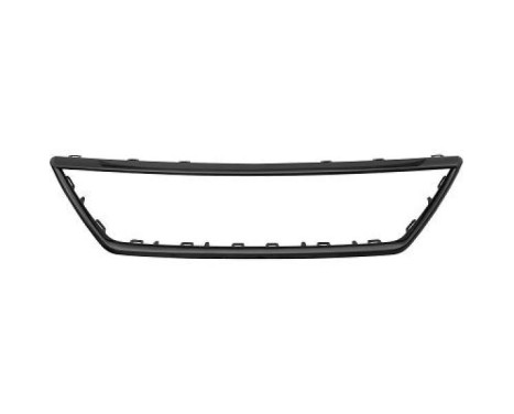 Frame, radiator grille