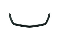 Holder, radiator grille