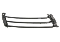 Holder, radiator grille