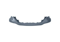 Plate, radiator grille