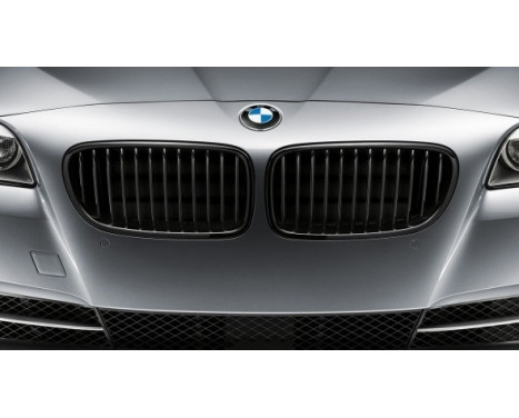 Radiator BMW F10 / F11 high gloss black, Image 2