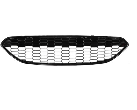 Radiator Grille ** Equipart **