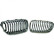 Radiator Grille HD Tuning