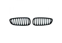 Radiator Grille HD Tuning