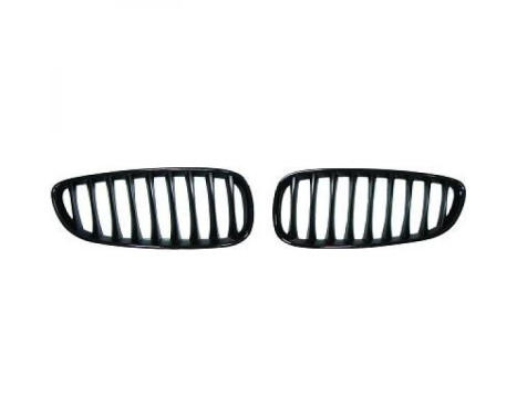 Radiator Grille HD Tuning