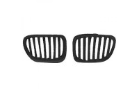Radiator Grille HD Tuning