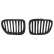 Radiator Grille HD Tuning