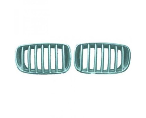 Radiator Grille HD Tuning