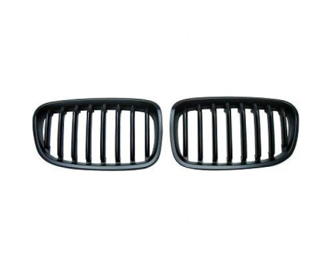 Radiator Grille HD Tuning