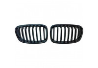 Radiator Grille HD Tuning