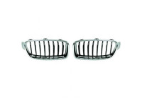 Radiator Grille HD Tuning