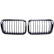 Radiator Grille HD Tuning