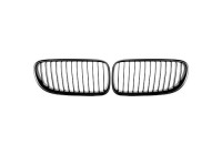 Radiator Grille HD Tuning