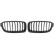 Radiator Grille HD Tuning
