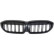 Radiator Grille HD Tuning