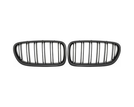 Radiator Grille HD Tuning