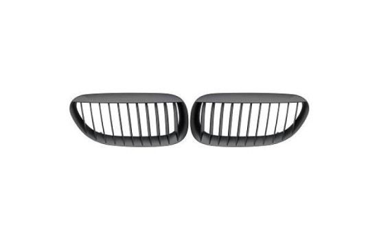Radiator Grille HD Tuning
