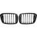 Radiator Grille HD Tuning