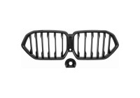 Radiator Grille HD Tuning