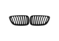 Radiator grille insert HD Tuning