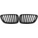 Radiator grille insert HD Tuning