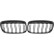 Radiator grille insert HD Tuning