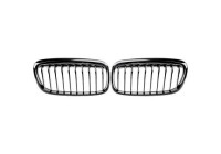 Radiator grille insert HD Tuning