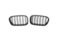Radiator grille insert HD Tuning
